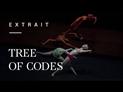 Tree of Codes de Wayne McGregor :  extraits