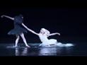 Ballet National de Norvège - Le lac des cygnes