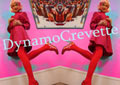 Dynamo Crevette