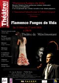 Flamenco - Fuegos de Vida