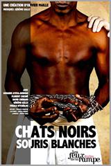Chats noirs souris blanches