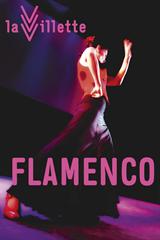 Festival Flamenco 2017