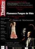 Flamenco - Fuegos de Vida