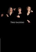 Trio Salzedo - Terres Nouvelles