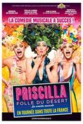 Priscilla, Folle du désert - La comédie musicale