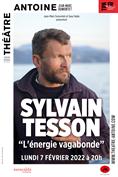 Sylvain Tesson - L'énergie vagabonde