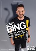 Julien Bing - Toute la vérité, rien que la vérité ou presque