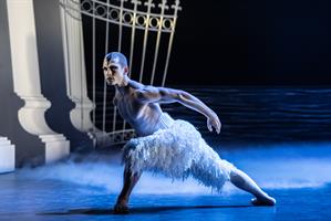 Swan Lake de Matthew Bourne