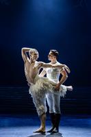 Swan Lake de Matthew Bourne