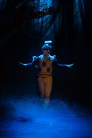 Après 20 ans à conquérir les salles avec son humour décalé et ses musi