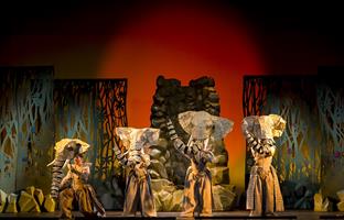 Quelques photos de la troupe