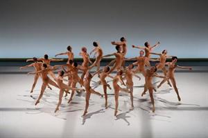 Les danseurs du Malandain Ballet Biarritz
