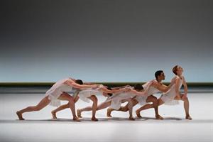 Les danseurs du Malandain Ballet Biarritz