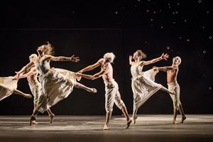 Les danseurs dans Sechs Tänze