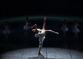 Les danseurs du Lac des cygnes