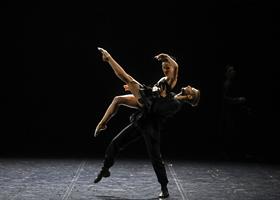 Les danseurs du Lac des cygnes