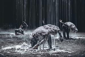 Aux frontières de l’installation plastique et de la performance, cette