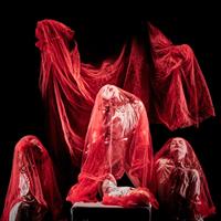 Dans son adaptation visuelle du célèbre mythe de Dracula, Yngvild Aspe