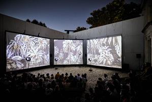 Mêlant vidéo, musique et performance aérienne, ANIMA plonge le public,
