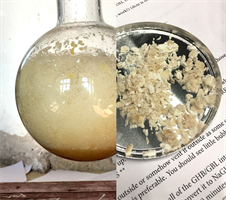 Visuel - pasta realtà