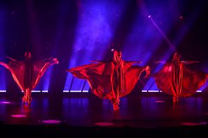 La troupe de The Empire Strips Back