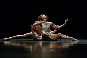 Quelques photos de scène