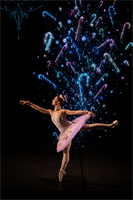 Casse Noisette avec des projections