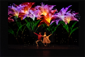 Casse Noisette avec des projections