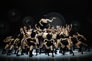 Dirigé par Ruben Olmo, le Ballet Nacional de Espana, est la principale