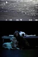 ShanjuLab est un laboratoire de théâtre qui interroge le lien humain-a