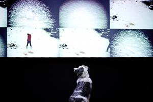 ShanjuLab est un laboratoire de théâtre qui interroge le lien humain-a