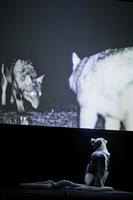 ShanjuLab est un laboratoire de théâtre qui interroge le lien humain-a