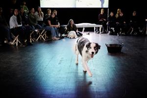 ShanjuLab est un laboratoire de théâtre qui interroge le lien humain-a