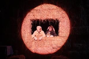 Pierre Guillois revient avec une comédie grinçante. Cristiana Reali et