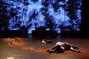 À partir d’une expérience personnelle, Alice Carré élabore un polar éc