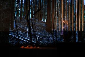 À partir d’une expérience personnelle, Alice Carré élabore un polar éc