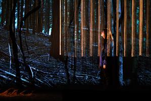 À partir d’une expérience personnelle, Alice Carré élabore un polar éc