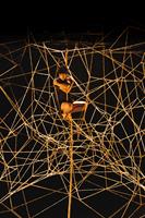 De la gigantesque trame qui occupe le plateau et zèbre l’espace, il ne