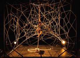 De la gigantesque trame qui occupe le plateau et zèbre l’espace, il ne