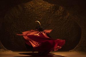 La compagnie italienne Dewey Dell mêle partitions chorégraphiques et a