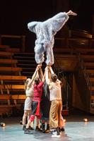 Des artistes de cirque