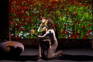 Une femme sur scène