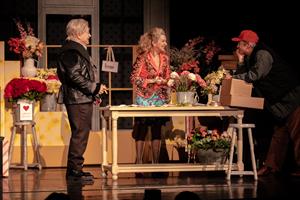 Inspirée du Barbier de Séville, Seuls mes cheveux sont gris est une co