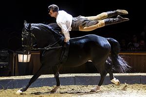 Une immersion dans la création d’un spectacle de la Compagnie Alexis G