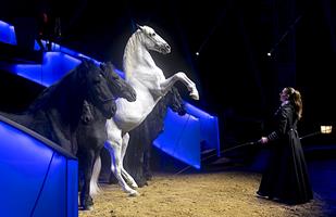 Une immersion dans la création d’un spectacle de la Compagnie Alexis G