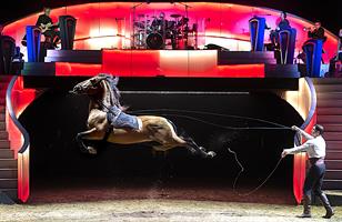 Une immersion dans la création d’un spectacle de la Compagnie Alexis G