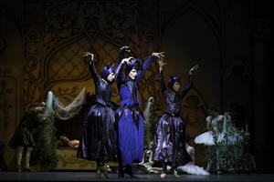 Karl Paquette Fée Carabosse