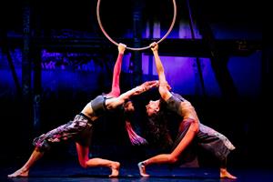 Avec plus de 7000 représentations dans 650 villes à travers le monde, 