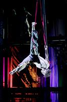 Avec plus de 7000 représentations dans 650 villes à travers le monde, 