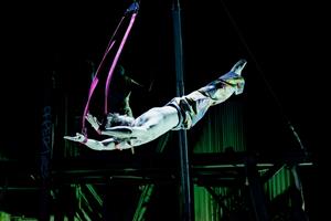 Avec plus de 7000 représentations dans 650 villes à travers le monde, 